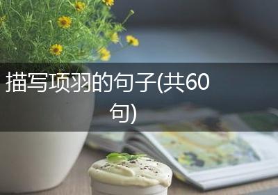 描写项羽的句子(共60句)