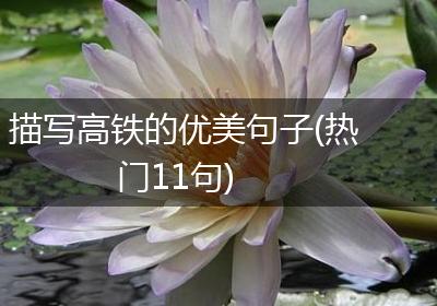 描写高铁的优美句子(热门11句)