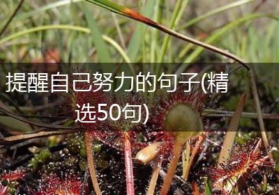 提醒自己努力的句子(精选50句)