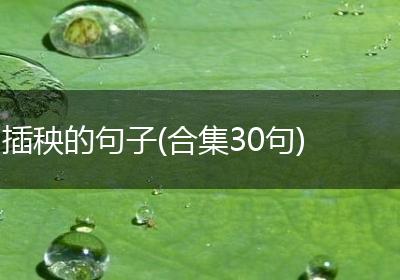 插秧的句子(合集30句)