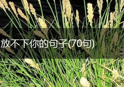 放不下你的句子(70句)