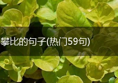 攀比的句子(热门59句)