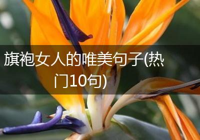 旗袍女人的唯美句子(热门10句)