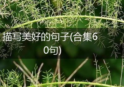 描写美好的句子(合集60句)
