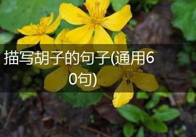 描写胡子的句子(通用60句)