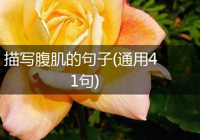 描写腹肌的句子(通用41句)