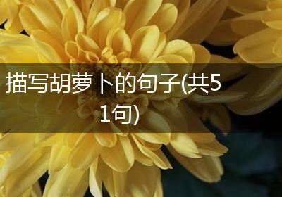描写胡萝卜的句子(共51句)