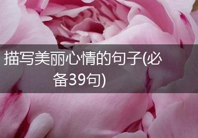 描写美丽心情的句子(必备39句)