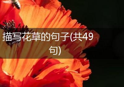 描写花草的句子(共49句)