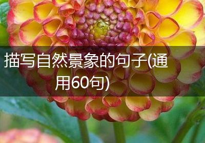 描写自然景象的句子(通用60句)
