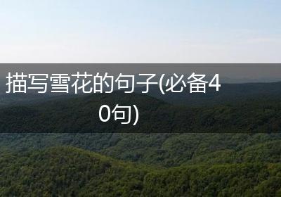 描写雪花的句子(必备40句)