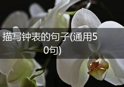 描写钟表的句子(通用50句)