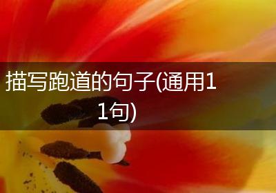 描写跑道的句子(通用11句)