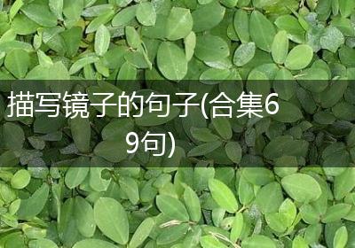 描写镜子的句子(合集69句)