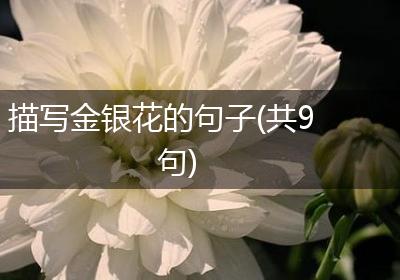 描写金银花的句子(共9句)
