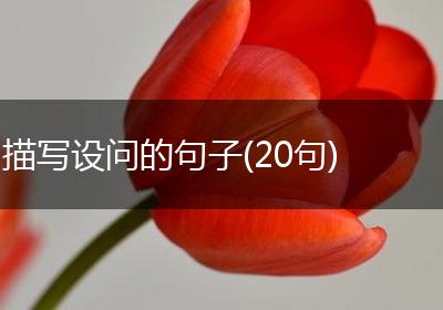 描写设问的句子(20句)