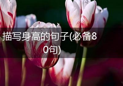 描写身高的句子(必备80句)