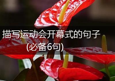 描写运动会开幕式的句子(必备6句)
