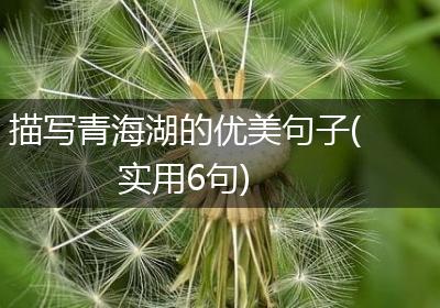 描写青海湖的优美句子(实用6句)