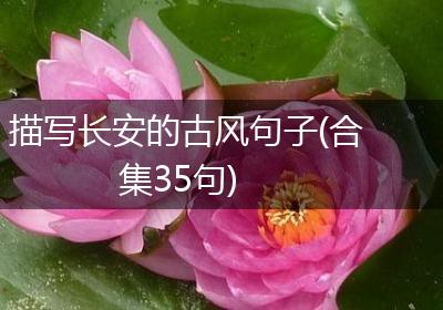 描写长安的古风句子(合集35句)