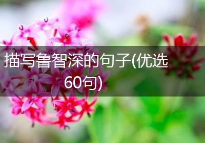 描写鲁智深的句子(优选60句)