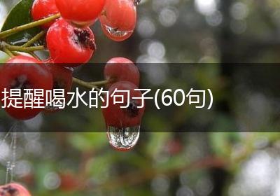 提醒喝水的句子(60句)