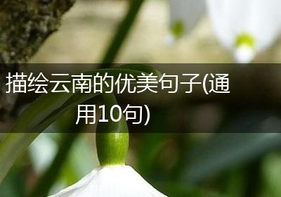 描绘云南的优美句子(通用10句)