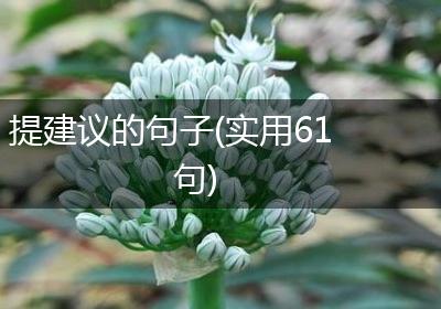 提建议的句子(实用61句)