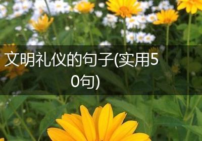 文明礼仪的句子(实用50句)