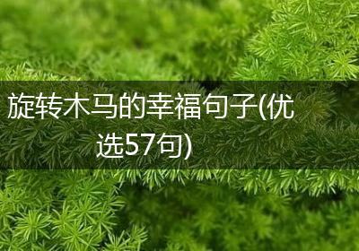 旋转木马的幸福句子(优选57句)
