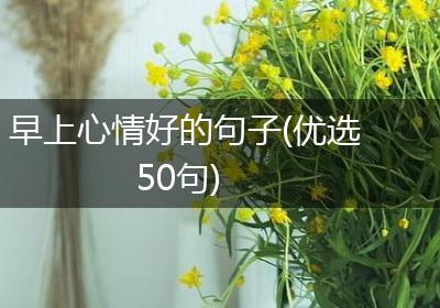 早上心情好的句子(优选50句)