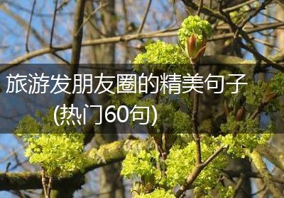 旅游发朋友圈的精美句子(热门60句)