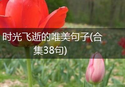 时光飞逝的唯美句子(合集38句)