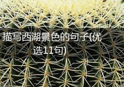 描写西湖景色的句子(优选11句)