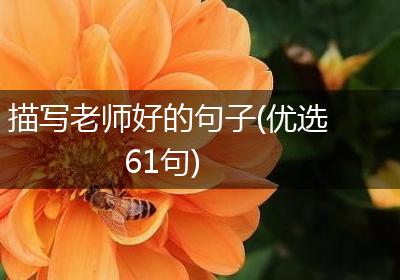 描写老师好的句子(优选61句)
