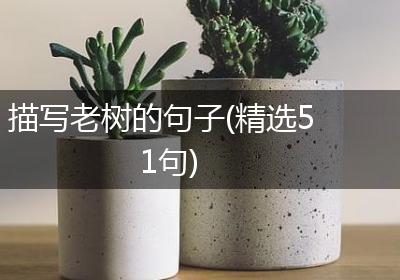 描写老树的句子(精选51句)