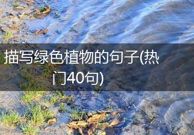 描写绿色植物的句子(热门40句)