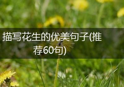 描写花生的优美句子(推荐60句)