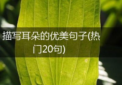 描写耳朵的优美句子(热门20句)