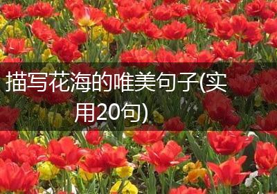 描写花海的唯美句子(实用20句)