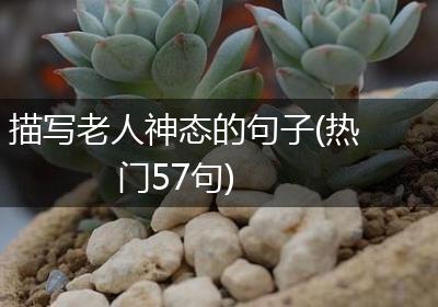 描写老人神态的句子(热门57句)