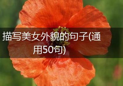 描写美女外貌的句子(通用50句)