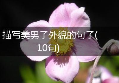 描写美男子外貌的句子(10句)
