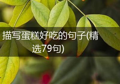 描写蛋糕好吃的句子(精选79句)