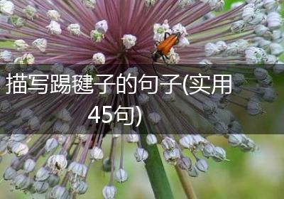 描写踢毽子的句子(实用45句)
