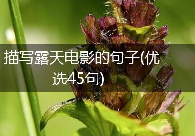 描写露天电影的句子(优选45句)