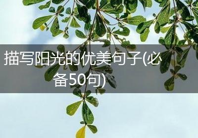 描写阳光的优美句子(必备50句)