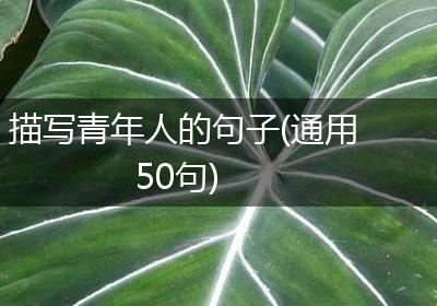 描写青年人的句子(通用50句)