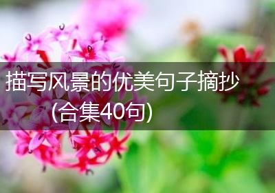 描写风景的优美句子摘抄(合集40句)