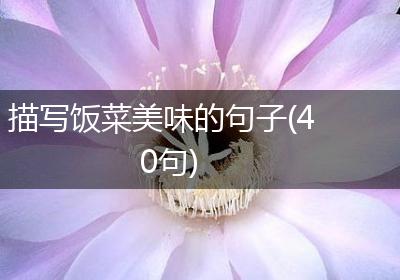 描写饭菜美味的句子(40句)